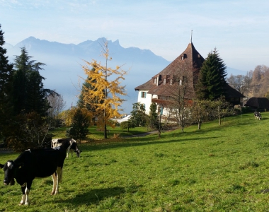 Männerfreizeit